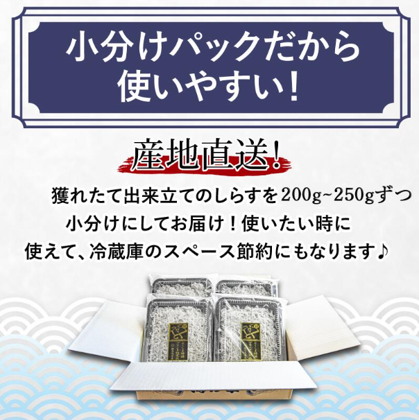 【5月から12月中旬まで発送】 しらす 釜揚げ 定期便 計600g 200g ×3回 ちりめんじゃこ じゃこ しらす ちりめん 小魚 魚 海鮮 魚介類 魚貝 シーフード いわし 鰯 おかず おつまみ